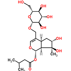 缬草苦苷