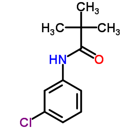 N-(6-氯吡啶-2-基)-2,2-二甲基丙酰胺