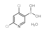 2,4-二氯吡啶-5-硼酸水合物