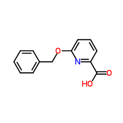 6-苄氧基吡啶-2-羧酸