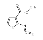 甲基-2-异硫代氰基噻吩-3-羧酸盐