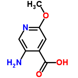 5-氨基-2-甲氧基吡啶-4-羧酸