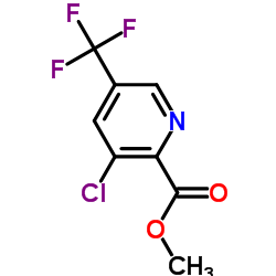 3-氯-5-(三氟甲基)吡啶-2-羧酸甲酯