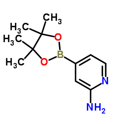 2-氨基吡啶-4-硼酸频哪醇酯