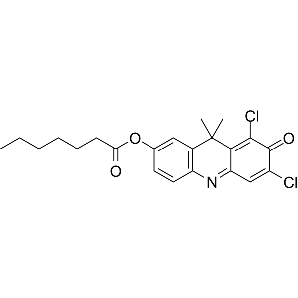 DDAO-C6