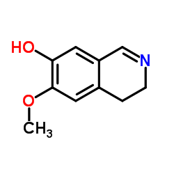7-羟基-6-甲氧基-3,4-二氢异喹啉
