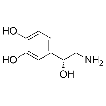 去甲肾上腺素