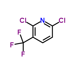 2,6-二氯-3-(三氟甲基)吡啶