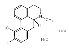 阿朴吗啡