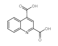 喹啉-2,4-二羧酸