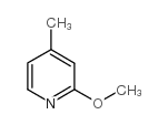 2-甲氧基-4-甲基吡啶