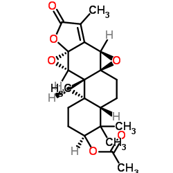 GeloMulide B