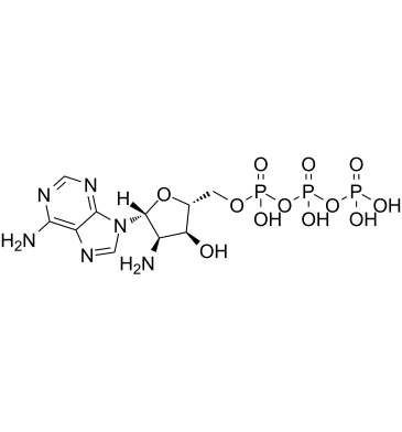 2'-NH2-ATP