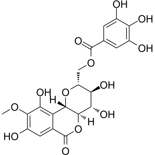 11-O-没食子酰岩白菜素