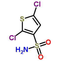 2,5-二氯噻吩-3-磺酰胺