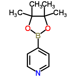 4-吡啶硼酸频哪醇酯