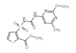 噻吩磺隆