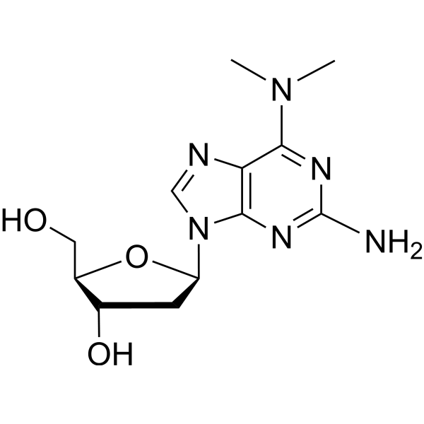 6-dimethylamino-2'-deoxyguanosine