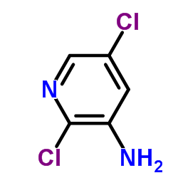 2,5-二氯-3-氨基吡啶