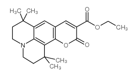 香豆素 504T