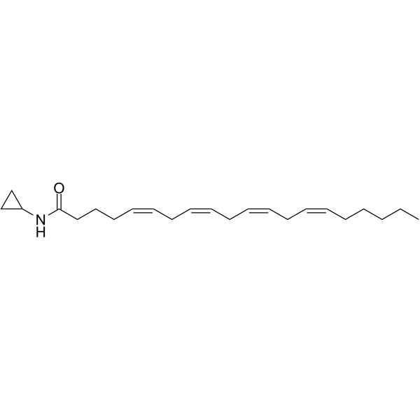 Arachidonoyl Cyclopropylamide