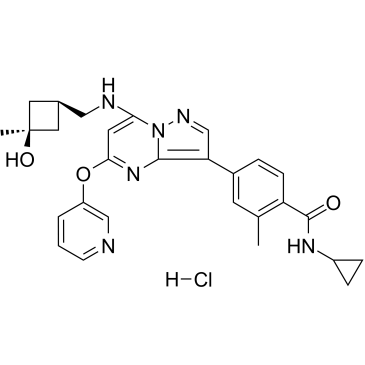 CFI-402257盐酸盐