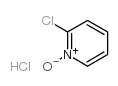 2-氯吡啶氮氧化物盐酸盐