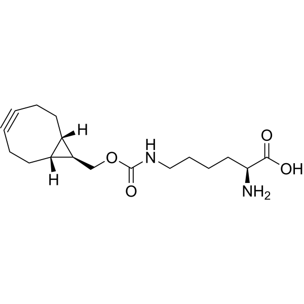 exo-BCN-L-Lysine