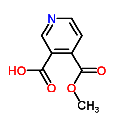 4-(甲氧羰基)吡啶-3-羧酸