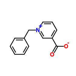 1-苄基吡啶嗡-3-羧酸盐