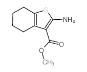 2-氨基-4,5,6,7-四氢苯并[b]噻吩-3-羧酸甲酯