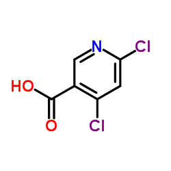 4,6-二氯烟酸