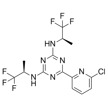 Vorasidenib