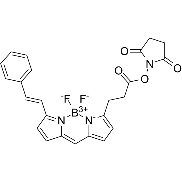 BDP 564/570 NHS ester