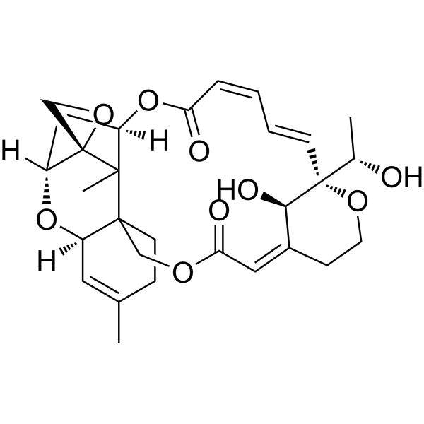 葡萄穗霉毒素H