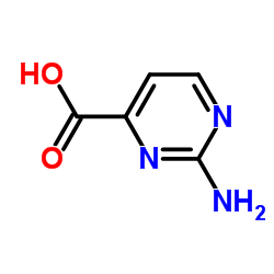 2-氨基嘧啶-4-羧酸