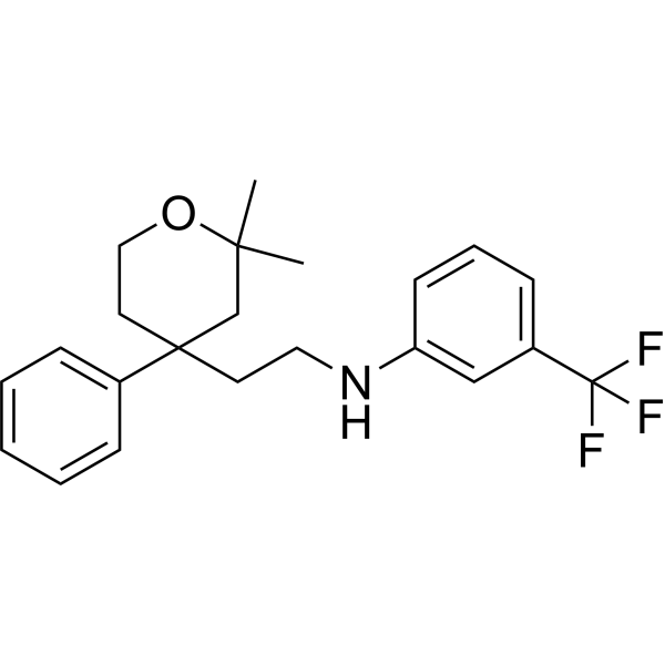 ICMT-IN-17