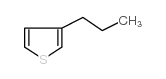 3-丙基噻吩