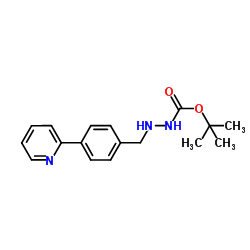 2-[4-(2-吡啶基)苄基]-肼羧酸叔丁酯