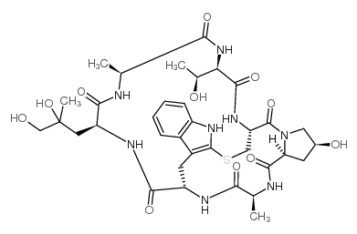 鬼笔环肽