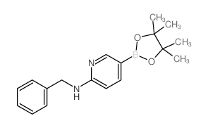 6-苄氨基吡啶-3-硼酸频哪酯