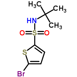 5-溴噻吩-2-叔丁基磺酰胺