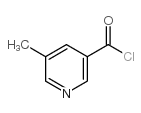 5-甲基-3-羧酸氯吡啶