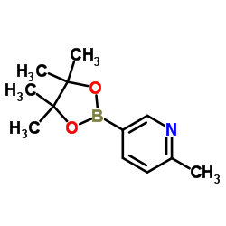 2-甲基吡啶-5-硼酸频那醇酯