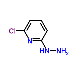 2-氯-6-肼基吡啶