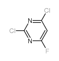 2,4-二氯-6-氟嘧啶