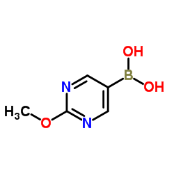 2-甲氧基-5-嘧啶硼酸