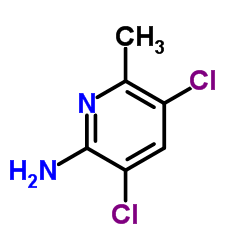 2-氨基-3,5-二氯-6-甲基吡啶