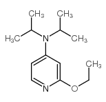 2-乙氧基-4-(N,N-二异丙基)氨基砒啶