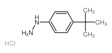 4-叔丁基苯肼盐酸盐